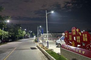 8XBET（中国）一站式服务平台集团罗宁弟爱心捐赠路灯，点亮乡村路温暖乡民心